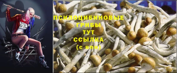 сатива Алексеевка