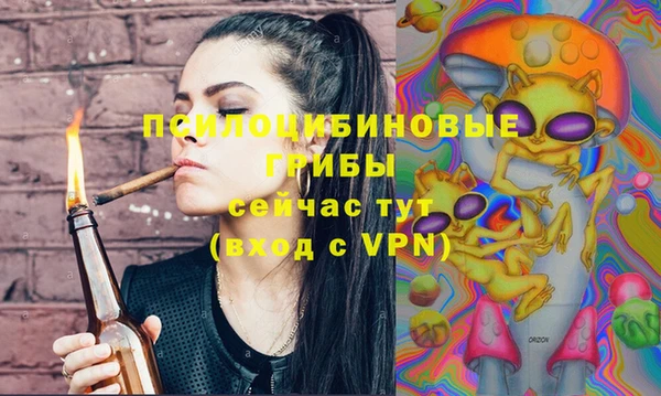 сатива Алексеевка