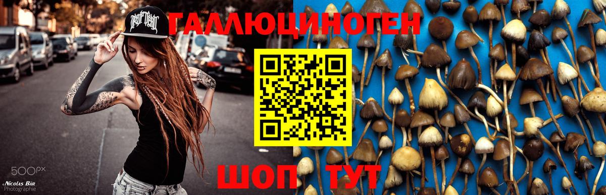 Псилоцибиновые грибы мухоморы Долгопрудный